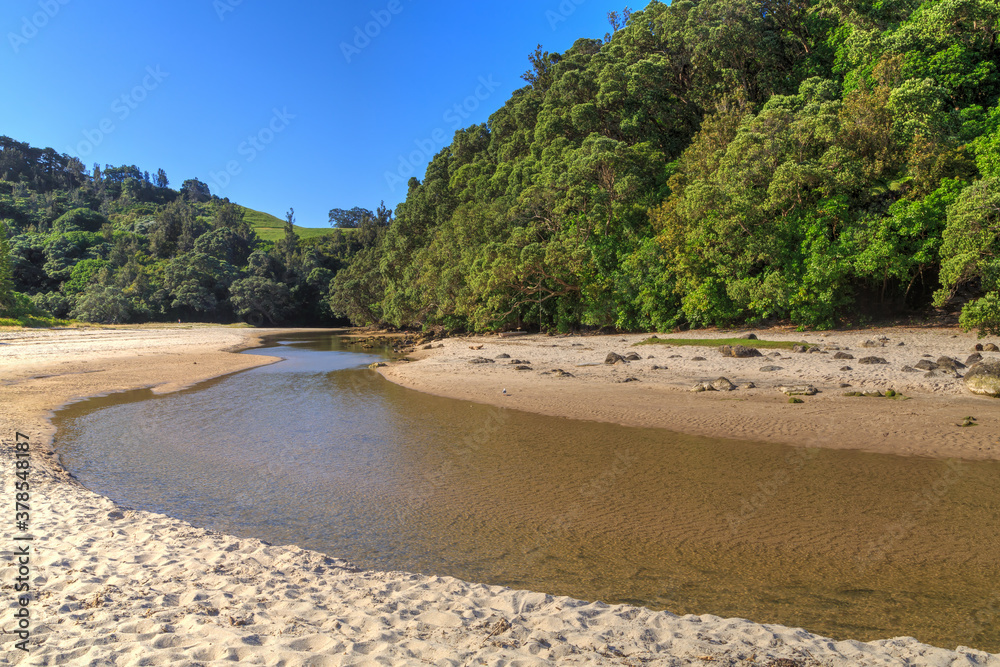 A stream runs out of forested hills and onto a sandy beach. Photographed at Whiritoa on the Coromandel Peninsula, New Zealand A stream runs out of forested hills and onto a sandy beach. Photographed at Whiritoa on the Coromandel Peninsula, New Zealand
