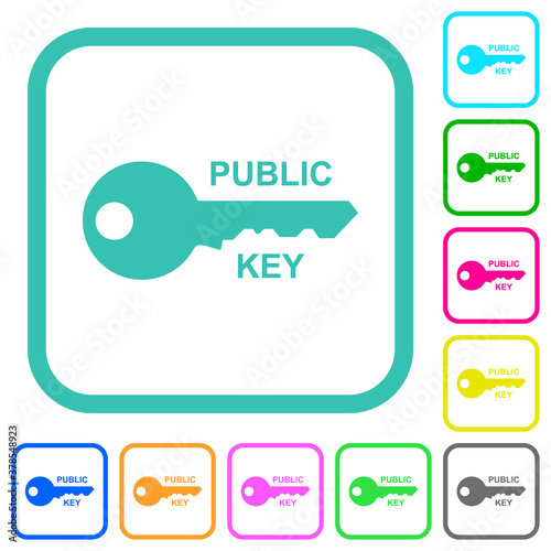Public key vivid colored flat icons