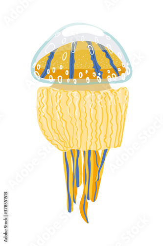 Jellyfish vector stock cartoon illustration isolated on white background. Icon of colorful sea medusa.