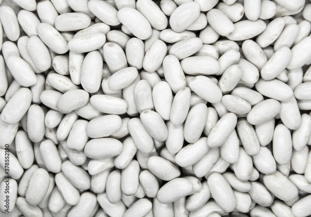Natural white beans on white background Natural white beans on white background