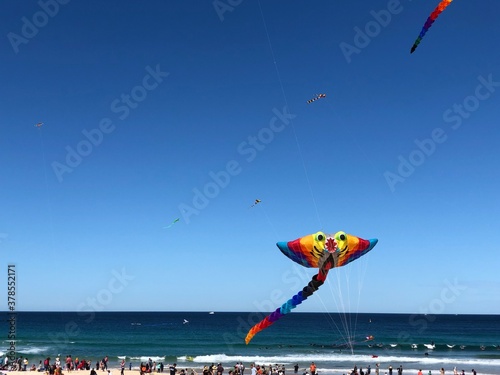 Kite festival beautiful Bondi beach Australia - leisure time