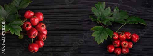 Bunch of berries on black wooden background