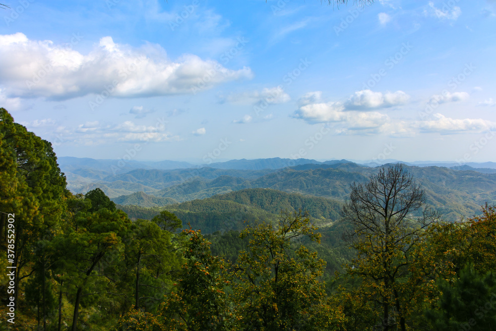 Lush Green Trees & Hills of Lansdown, Uttarakhand, India