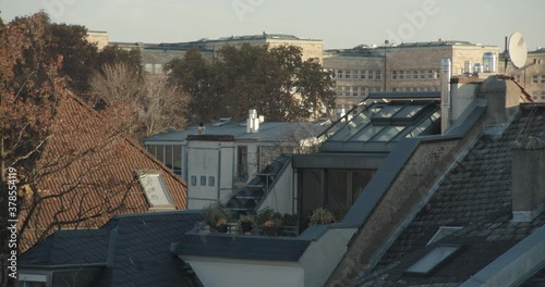 Eurasian Red Squirrel on townhouse terrace photo