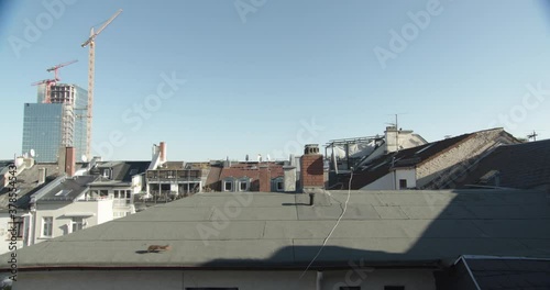 Eurasian Red Squirrel running on roof photo