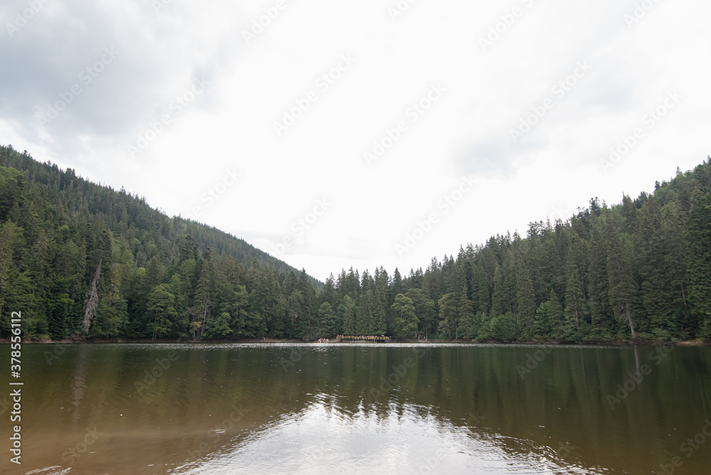 Lake Synevir. beautiful nature scenery outdoors. coniferous forest with tall trees on the shore, reflected in the steady water. mountain lake in summer. Blue sky with clouds. beautiful landscape