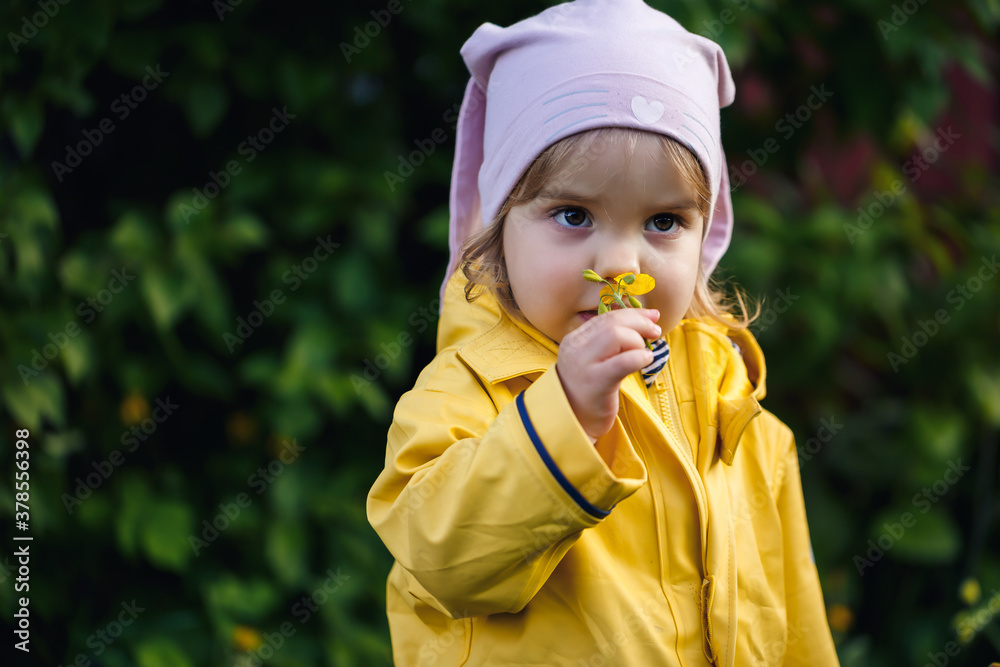 Cute girl in a yellow jacket collects flowers in a meadow. A child stood in the fresh green grass among the spring flowers. A small child makes a bouquet of the first wild yellow flowers Cute girl in a yellow jacket collects flowers in a meadow. A child stood in the fresh green grass among the spring flowers. A small child makes a bouquet of the first wild yellow flowers