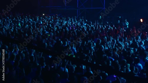 Concert Crowd