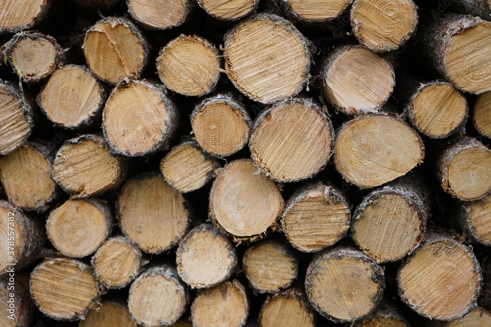 Fein säuberlich frisch gehacktes Holz für den Kamin im Winter Fein säuberlich frisch gehacktes Holz für den Kamin im Winter