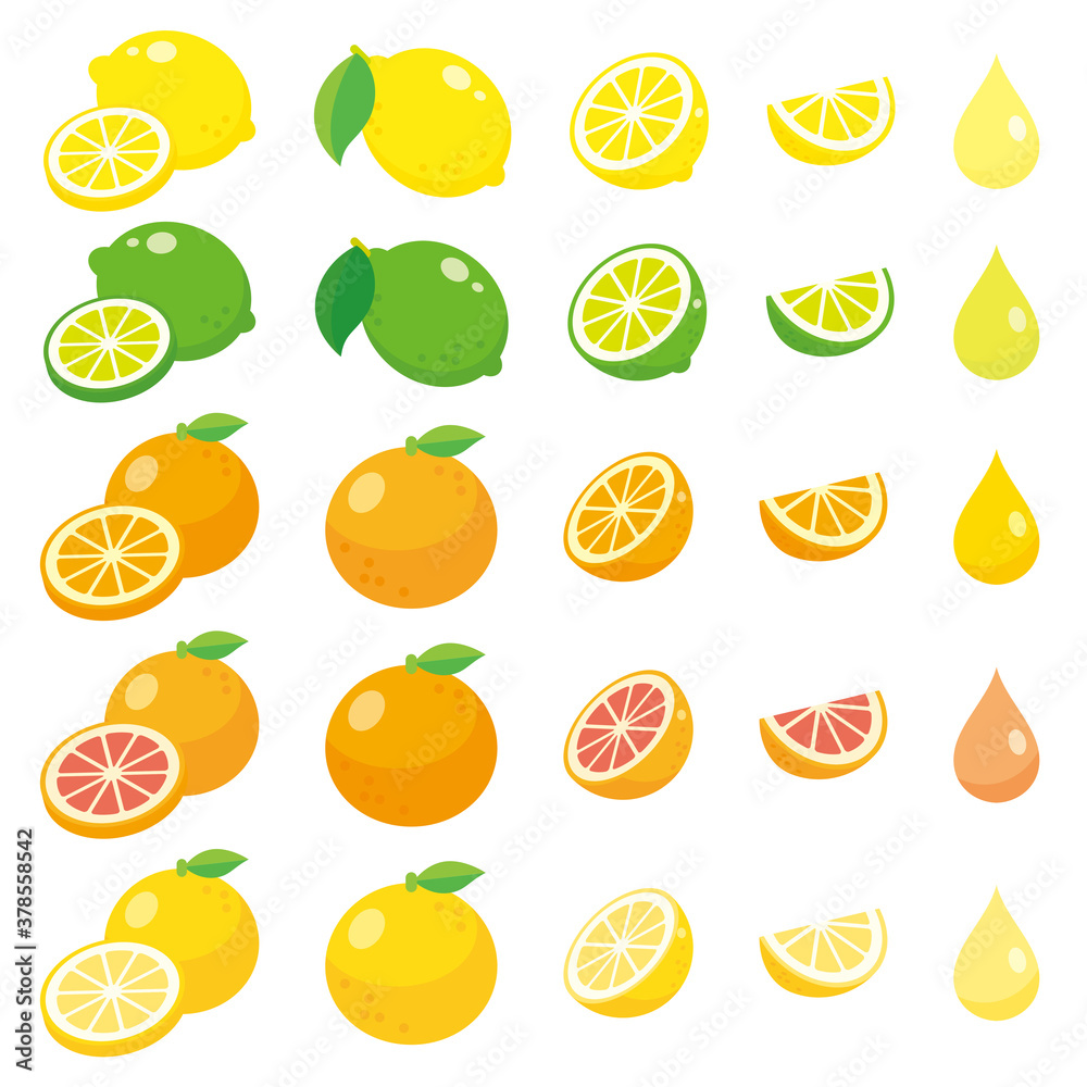 柑橘系のカットフルーツセット 新鮮なレモン ライム オレンジ グレープフルーツのベクターイラスト Stock Vektorgrafik Adobe Stock