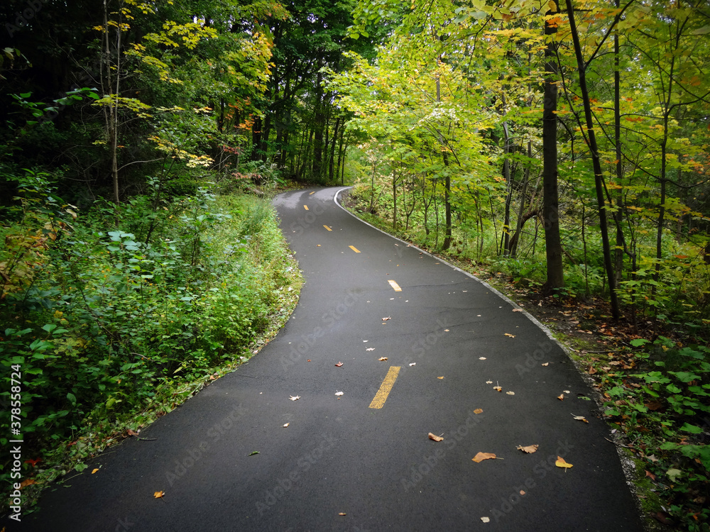 Obraz premium Une piste cyclable dans la forêt