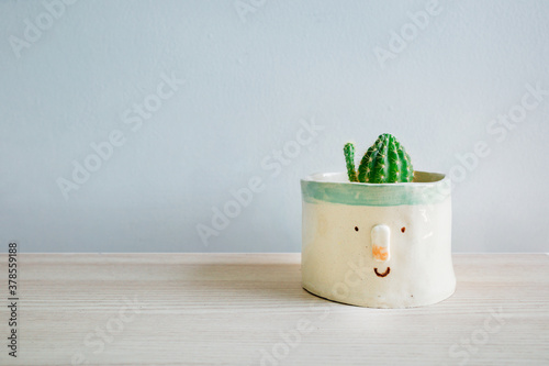 tiny cactus in the cute pot