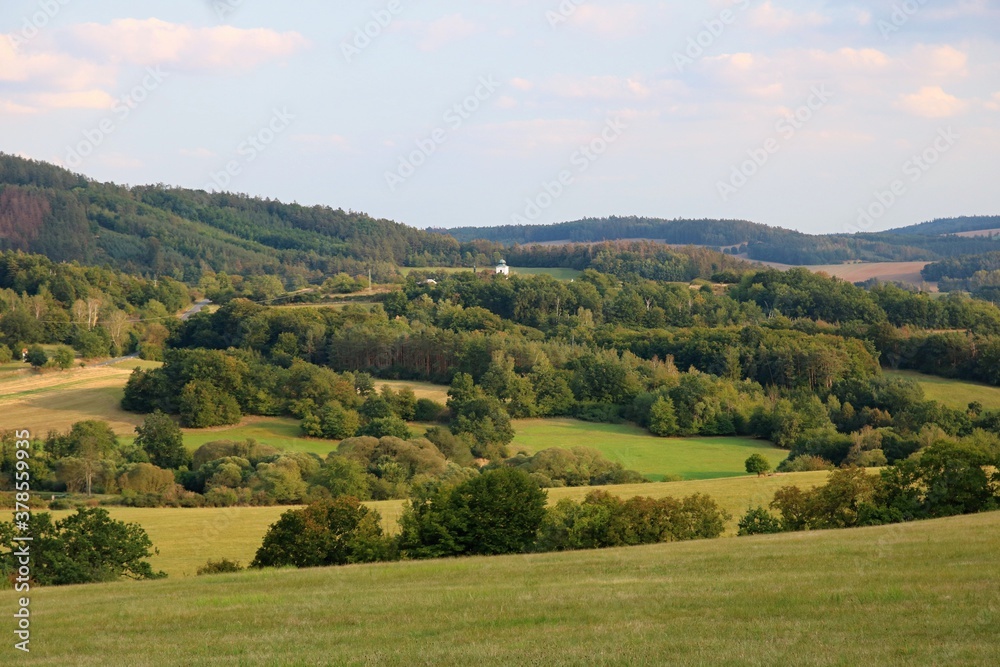 Fototapeta premium landscape with mountains and trees