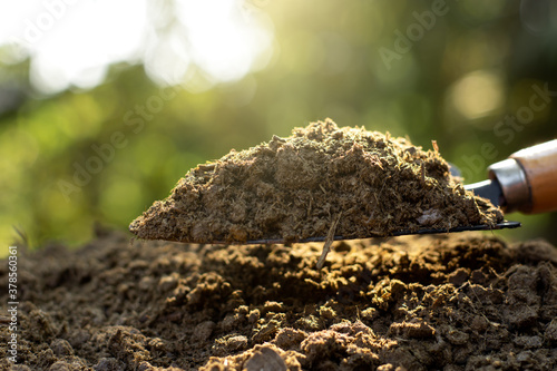 Fotografía Manure or cow manure for cultivation and agriculture.