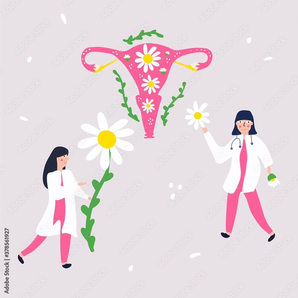 Obraz premium Two female doctors collect daisies for the treatment of the female reproductive system, treatment of candidiasis, irritation.Care, hygiene, women's health concept. Vector banner template.