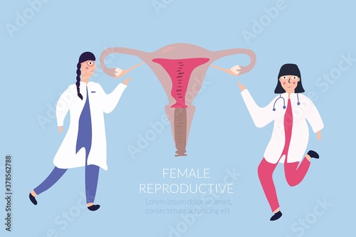 Banner two female doctors talk about a woman's reproductive system. Medicine, women's health concept.