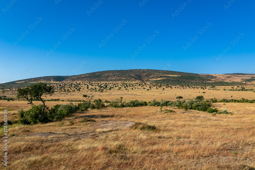 ケニアのマサイマラ国立保護区に広がる、野原と青空