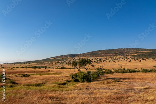 ケニアのマサイマラ国立保護区に広がる、野原と青空 © 和紀 神谷