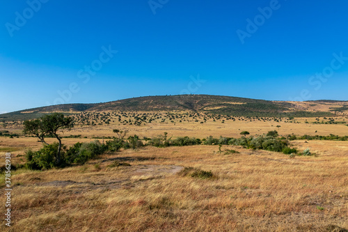 ケニアのマサイマラ国立保護区に広がる、野原と青空