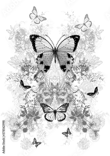 Black and white butterfly design