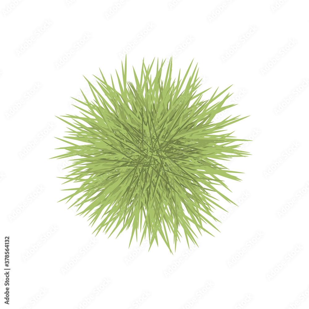いが栗 いが栗