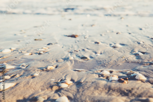 Soft sea background with a lot of seashells with beautiful shadow. Close up view to ocean sand beach at the sunset