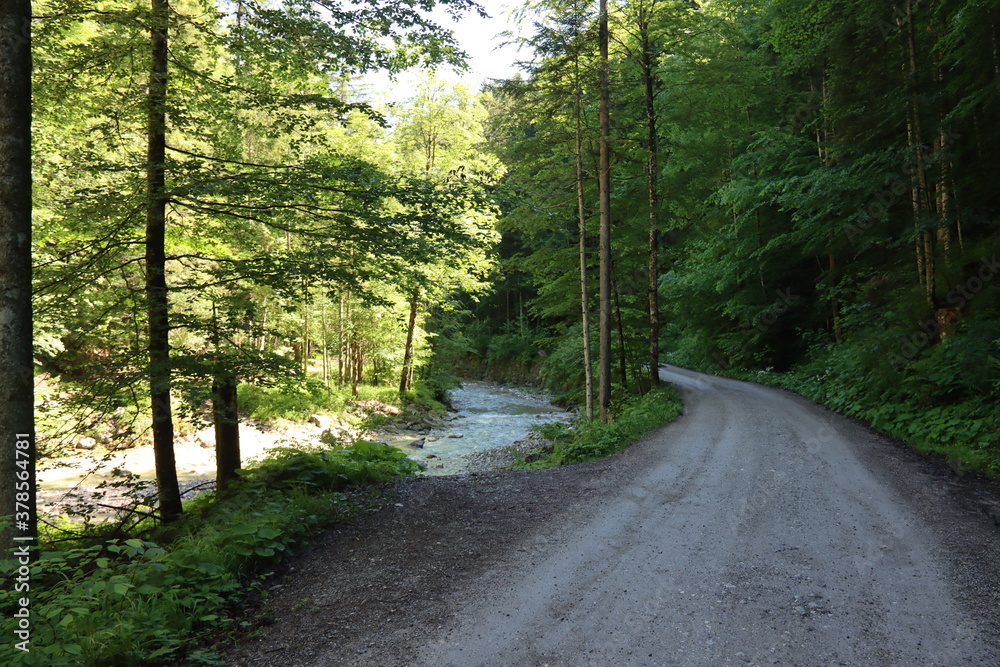 Fototapeta premium naturel