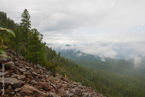 Mountain landscape. Solid fog in the wooded mountains. © Woldemar_66