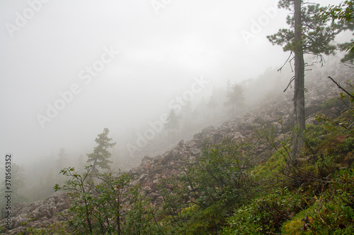 Mountain landscape. Solid fog in the wooded mountains.