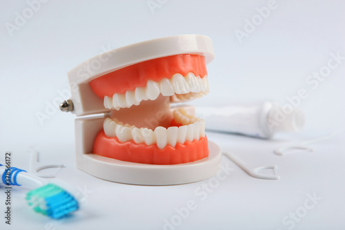 Dental model of teeth and dental care products on light background with place for text