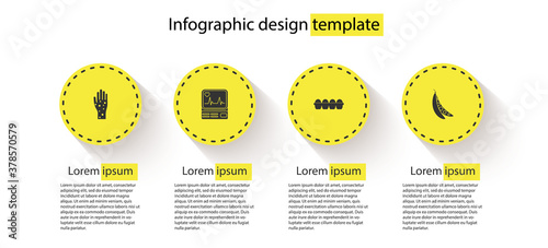Set Hand with psoriasis or eczema, Monitor cardiogram, Chicken egg in box and Kidney beans. Business infographic template. Vector.