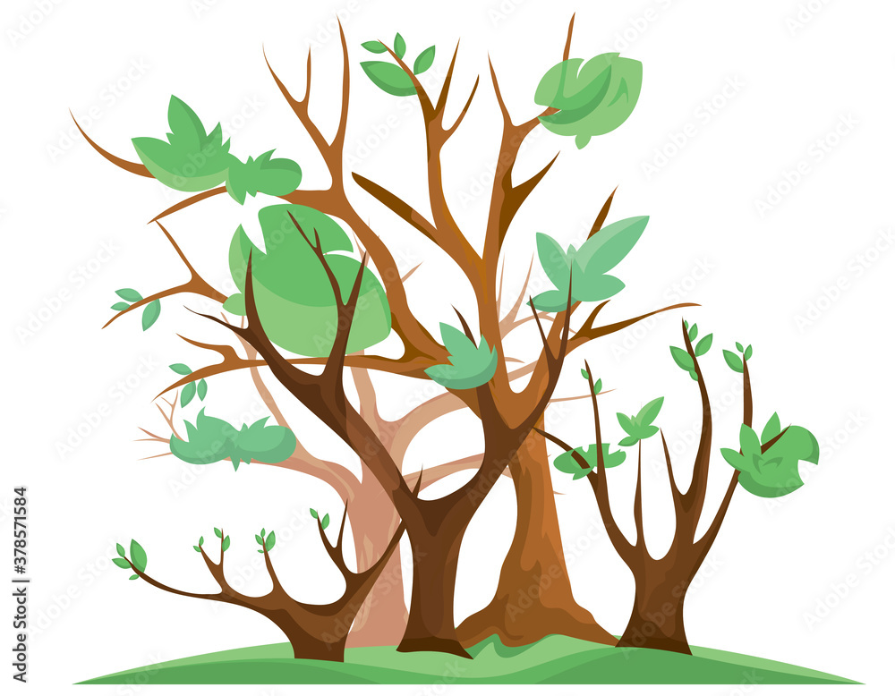 Fototapeta premium Spring forest isolated on white background. Trees with budding leaves.