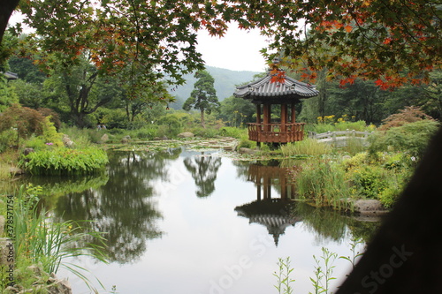                                                                                       korea pond nature lake traditional fall autumn   fallen leaves   dead leaves   reflection reflect  pavilion gazebo summerhouse  