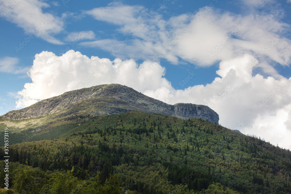 Forest mountain Forest mountain
