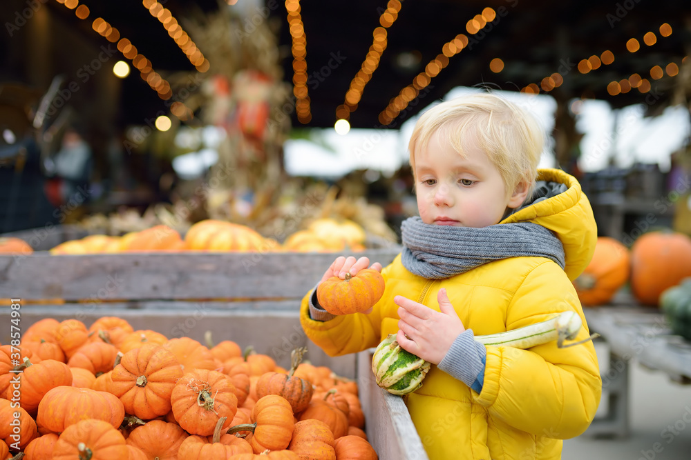 Fototapeta premium Little boy choose right pumpkin on a farm at autumn. Preschooler child hold a orange pumpkin.