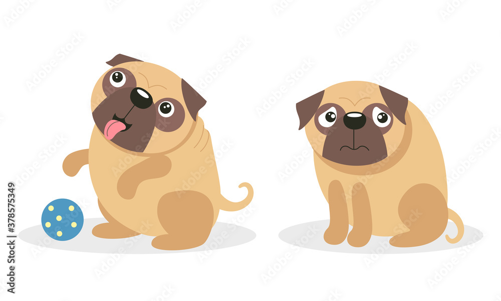 Cute Pug Hanging out Tongue and Sitting Vector Set