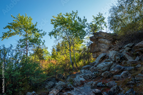 Rocks and autumn trees on the top of a rock. Clear sunny day
