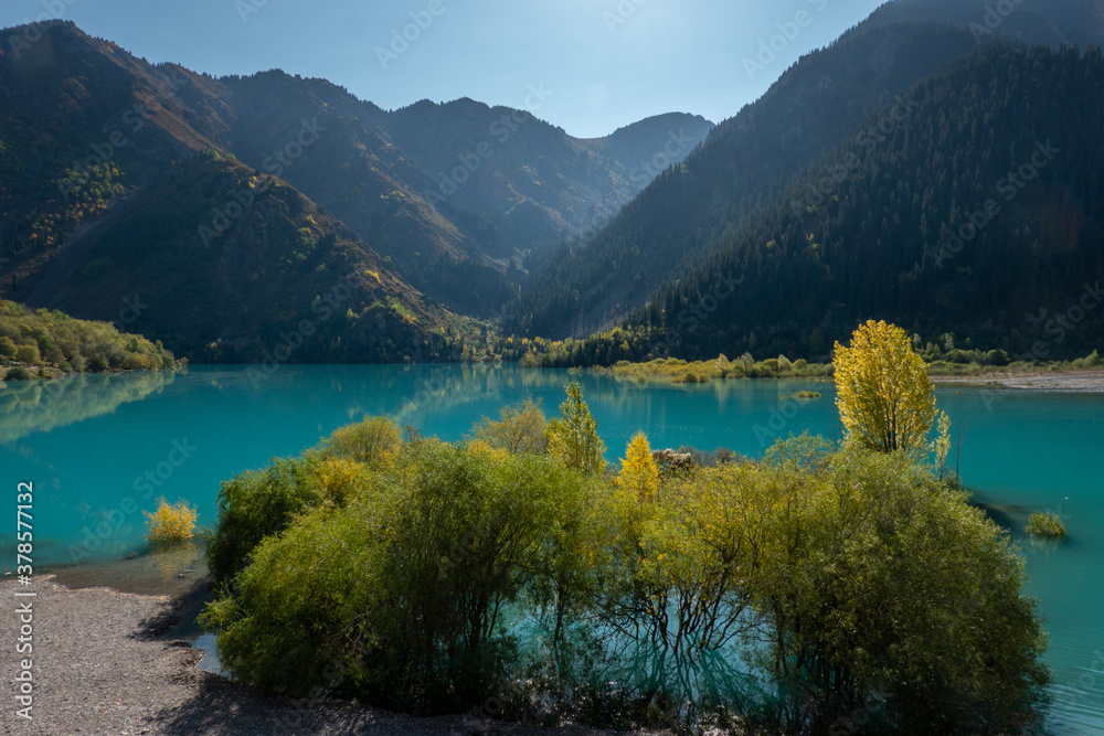 Yellow and green trees stand in the waters of a mountain lake on a clear day. Issyk lake, Kazakhstan