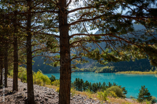 Turquoise mountain lake surrounded by green pines and yellow autumn trees, bright sunlight. Lake Issyk, Kazakhstan