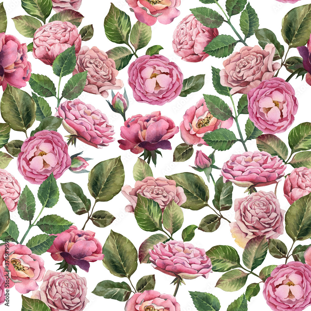 Watercolor shabby seamless pattern. Pink rose with leaves on white background.