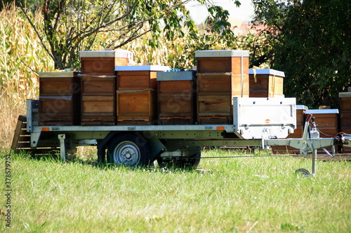 Bienenstöcke wurden zum Transport auf einen Anhänger gestellt © Horst Bingemer