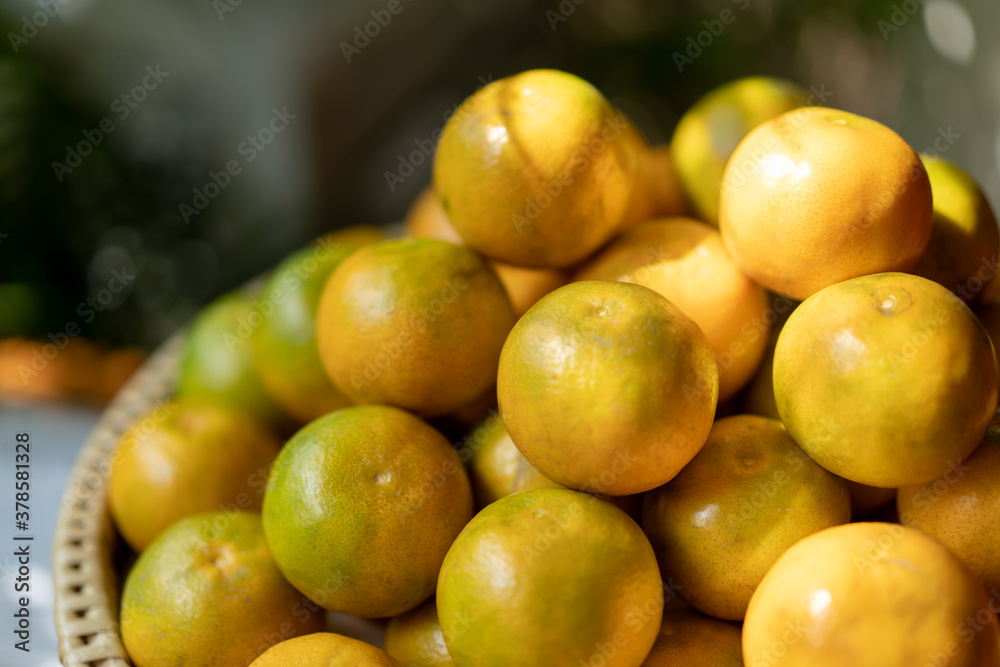 a pile of oranges, on a bamboo wicker plate in golden light on blur green nature background.