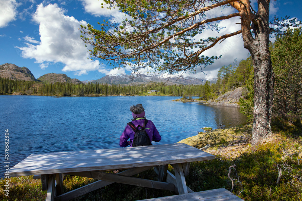 Woman sitting on a bench by the water in Nordland county