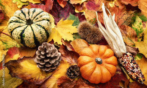 Autumn decoration arranged with natural items such as colorful dry leaves  chestnuts  ornamental pumpkins and cones 