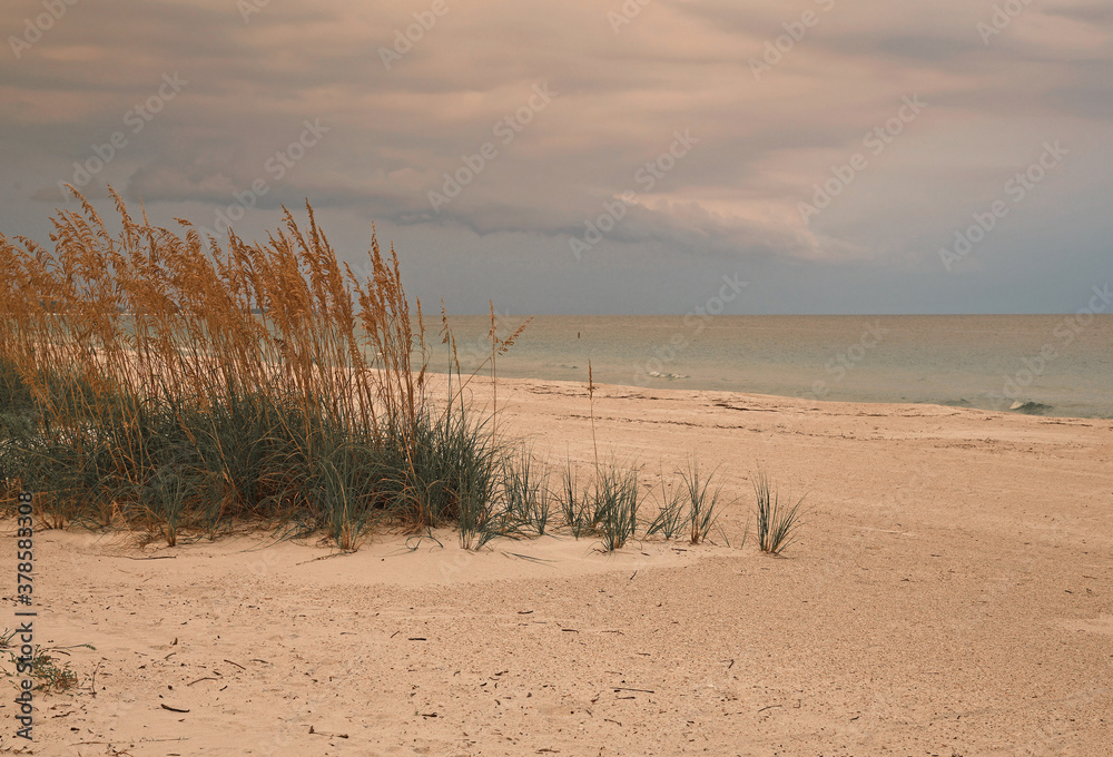 Gulf Coast at Dusk