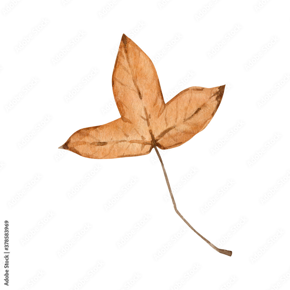 Fototapeta premium Watercolor autumn foliage clipart illustration