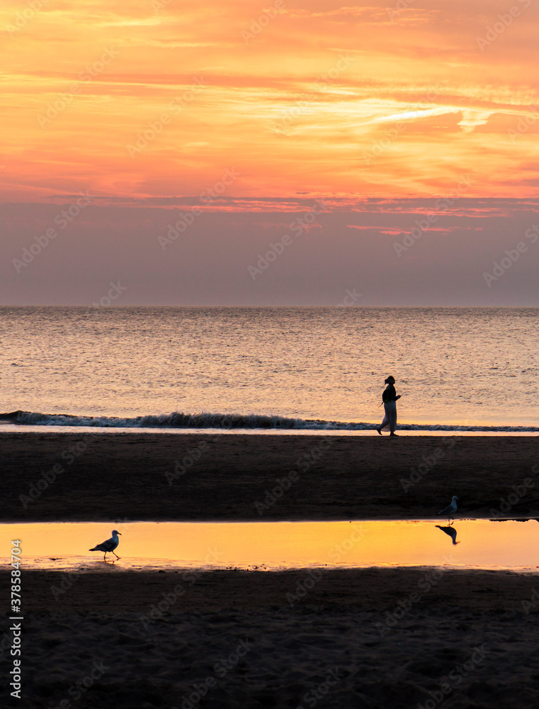 Person jogging along the beach ay sunset. One normal seagull, and an upside down reflection of another.   