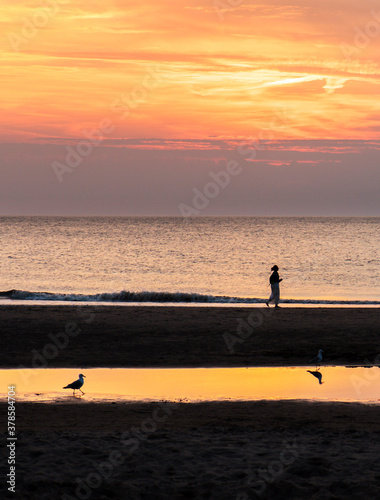 Person jogging along the beach ay sunset. One normal seagull, and an upside down reflection of another. 
