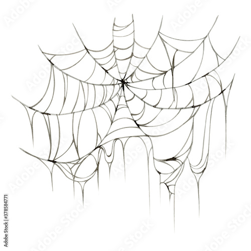 Watercolor spooky spiderweb clipart illustration