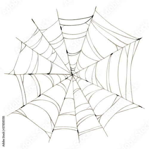 Fotografering Watercolor spooky spiderweb clipart illustration
